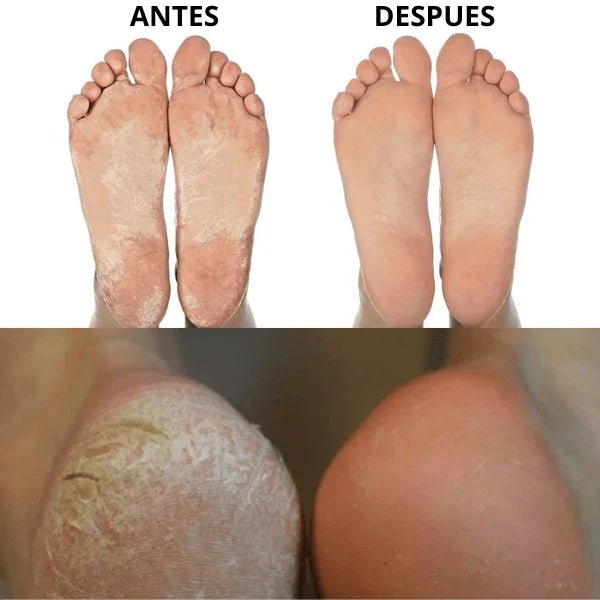 Encabezado